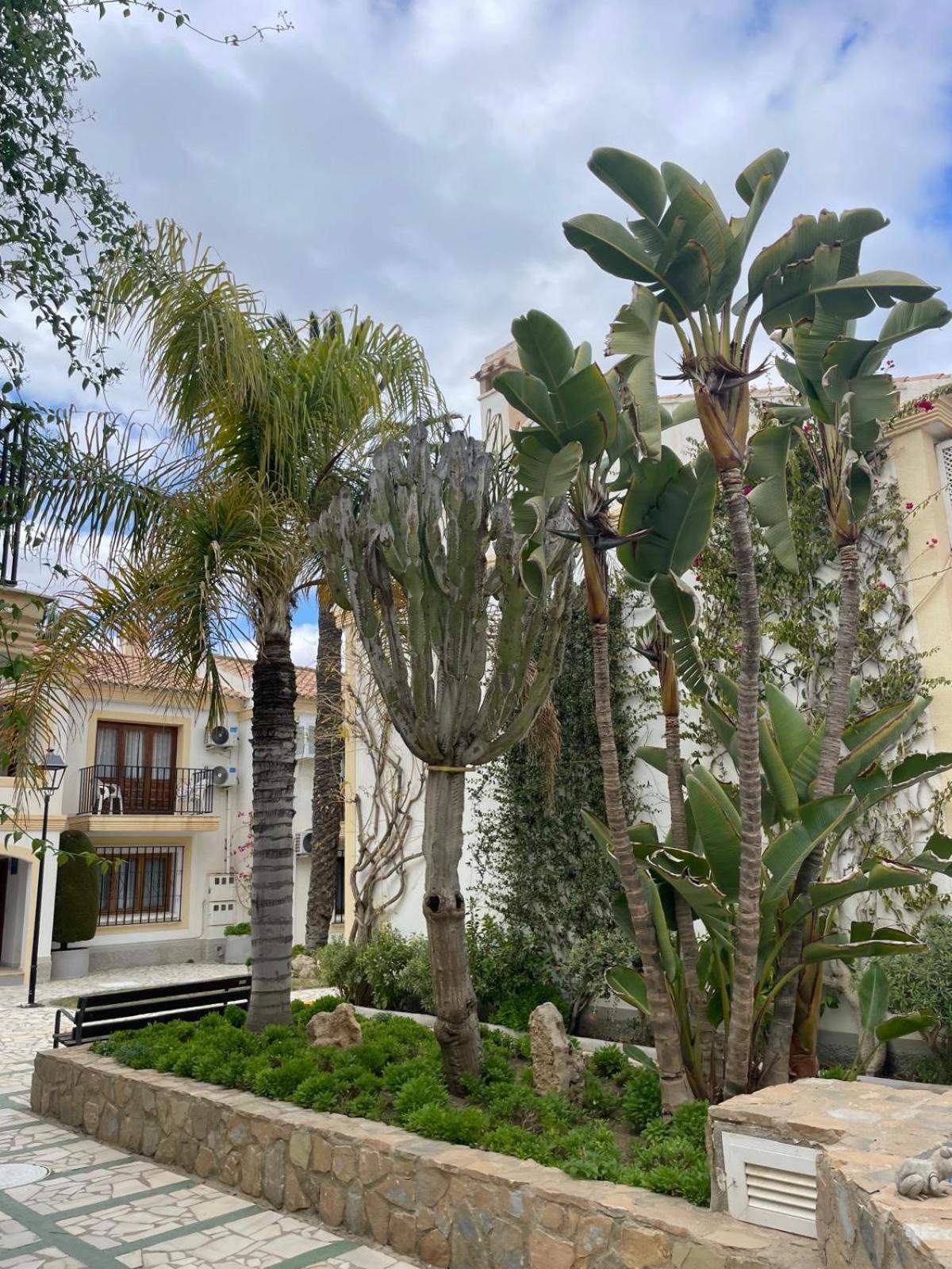 Casa Veratense Vera Playa Playas de Vera Екстер'єр фото