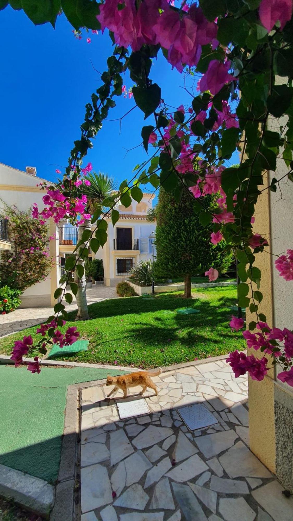 Casa Veratense Vera Playa Playas de Vera Екстер'єр фото